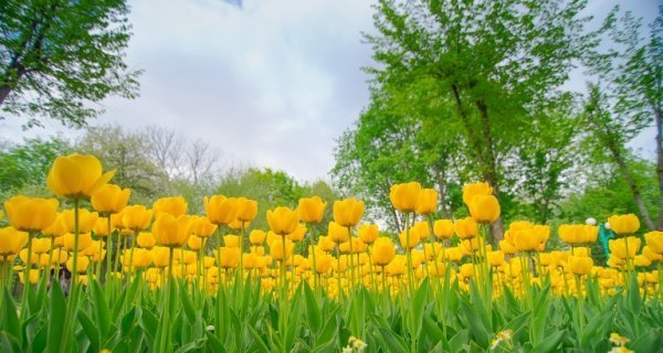 Несподівані фото української символіки. ФОТО