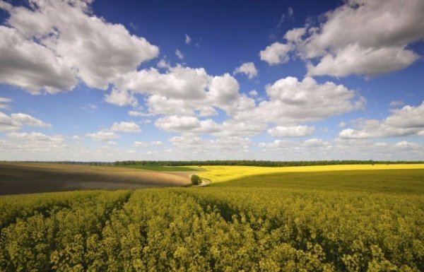 Несподівані фото української символіки. ФОТО