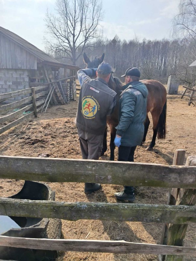 На Волині вакцинують від сказу тварин
