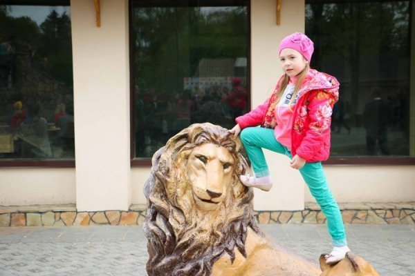 У Луцькому зоопарку продавали розмальовки, щоб нагодувати бездомних тварин. ФОТО 