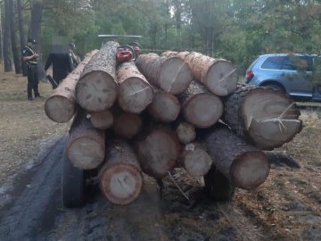 Представники громадської організації «здали» волинській поліції «чорних лісорубів». ФОТО