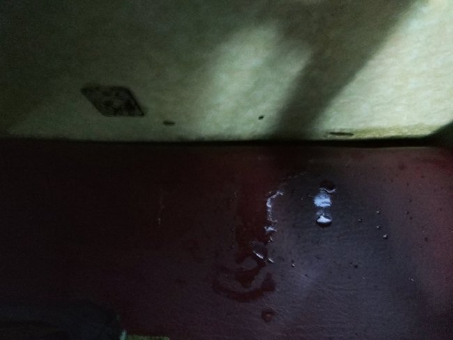 Місця «мокрющі»: у вагоні потяга «Ковель-Чернівці» протікає стеля. ФОТО