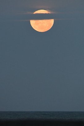 Унікальне місячне затемнення. ФОТО. ВІДЕО.