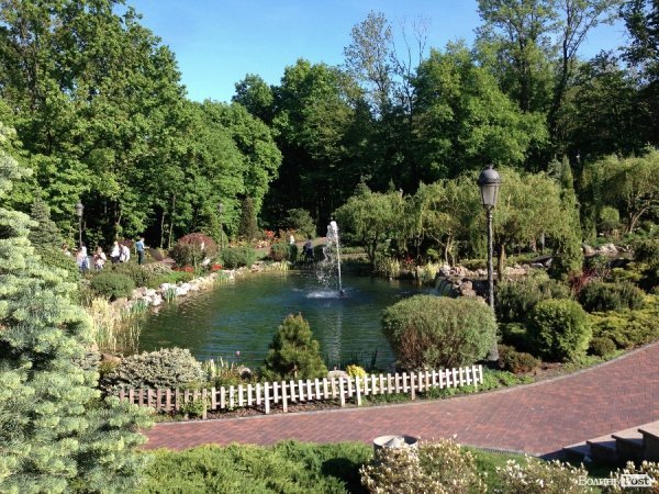 На вихідні -  у «Межигір'я». ФОТО 