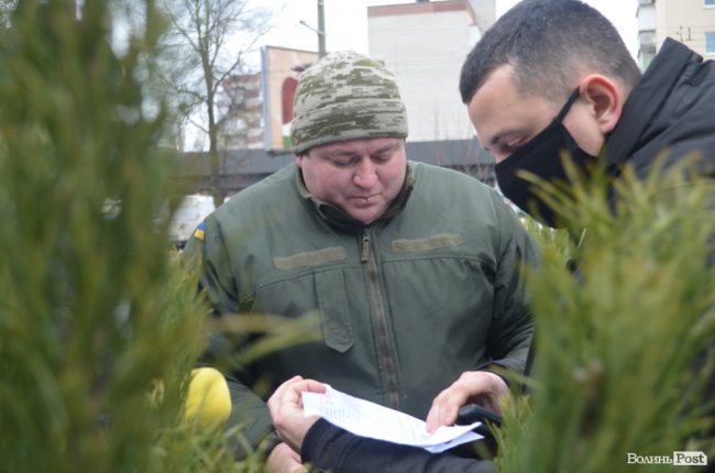 У Луцьку тривають рейди на ялинкових ринках. ПЕРШІ РЕЗУЛЬТАТИ