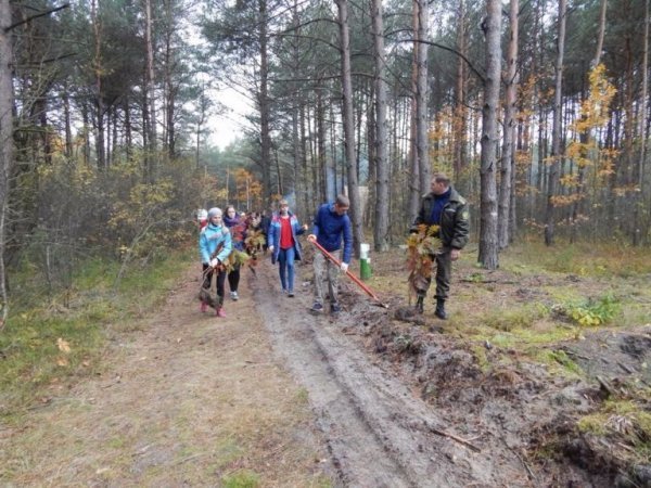 Діти висадили дерева у волинському лісі. ФОТО