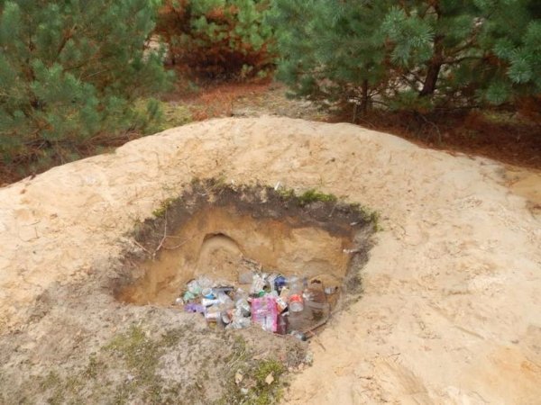 Діти висадили дерева у волинському лісі. ФОТО