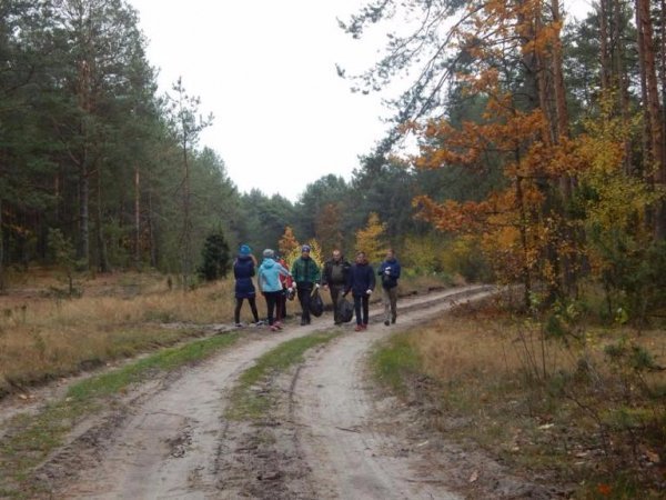Діти висадили дерева у волинському лісі. ФОТО
