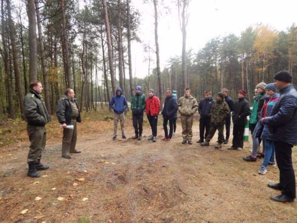 Діти висадили дерева у волинському лісі. ФОТО
