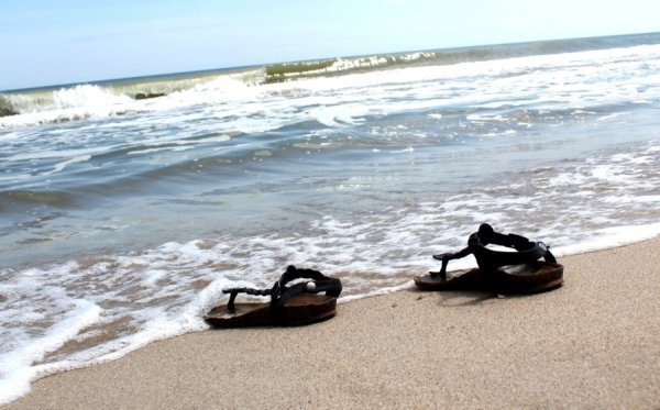 Фотовиставка Тетяни Полуектової