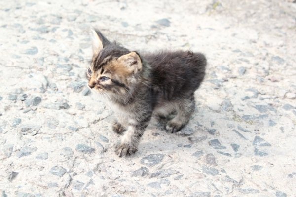 Фотовиставка Тетяни Полуектової