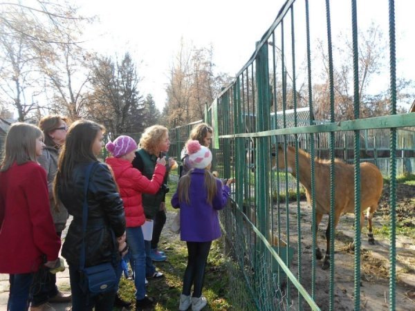 Звірі з Луцького зоопарку смакуватимуть варенням. ФОТО