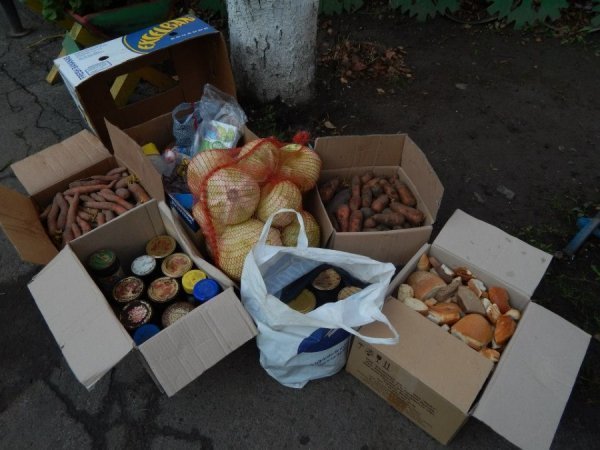 Звірі з Луцького зоопарку смакуватимуть варенням. ФОТО