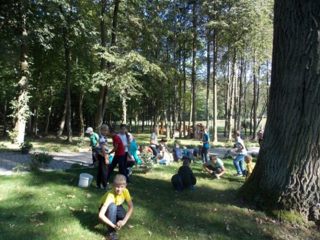 Дітлахи на Волині заготовляють жолуді древнього дуба. ФОТО