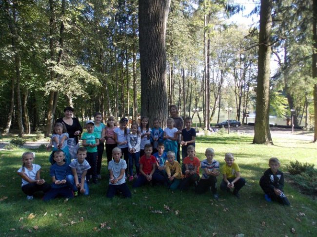 Дітлахи на Волині заготовляють жолуді древнього дуба. ФОТО