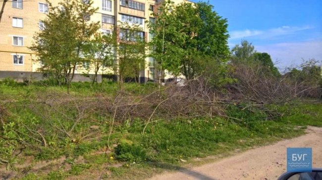 Петро киває на Івана: у Нововолинську місяцями не можуть вивезти гілки