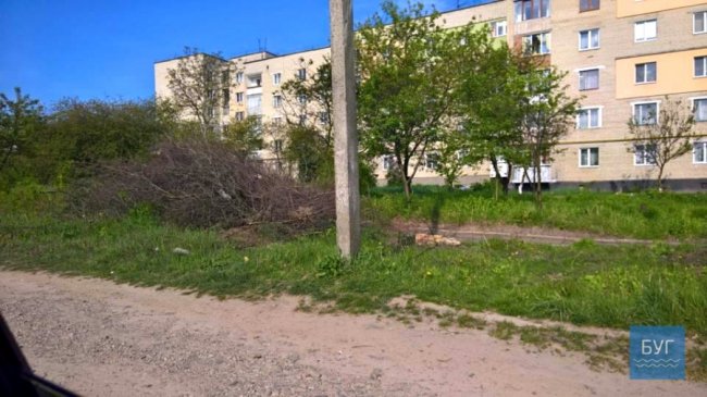 Петро киває на Івана: у Нововолинську місяцями не можуть вивезти гілки