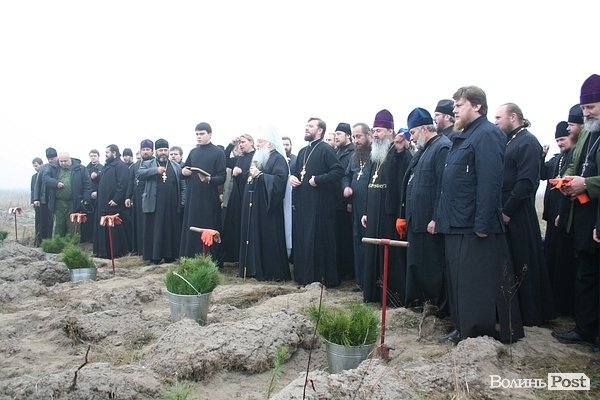 На Волині священики висадили понад 1025 сосен. ФОТО