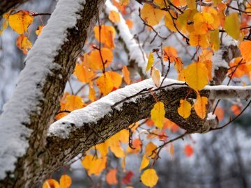 Погода у Луцьку на завтра, 23 листопада