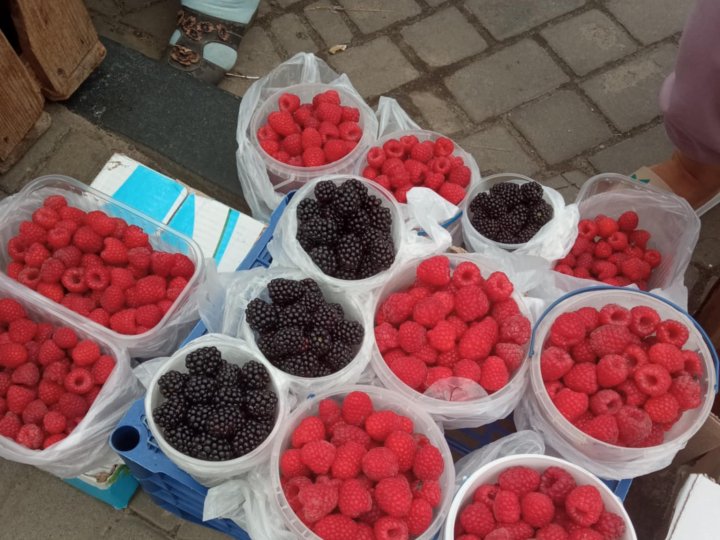 Скільки коштують ягоди на ринку у місті на Волині