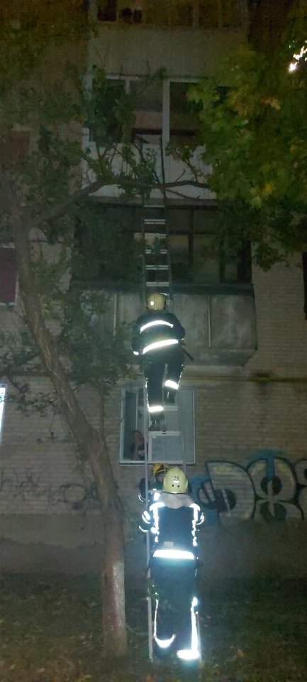 На Волині горів автомобіль та господарська споруда