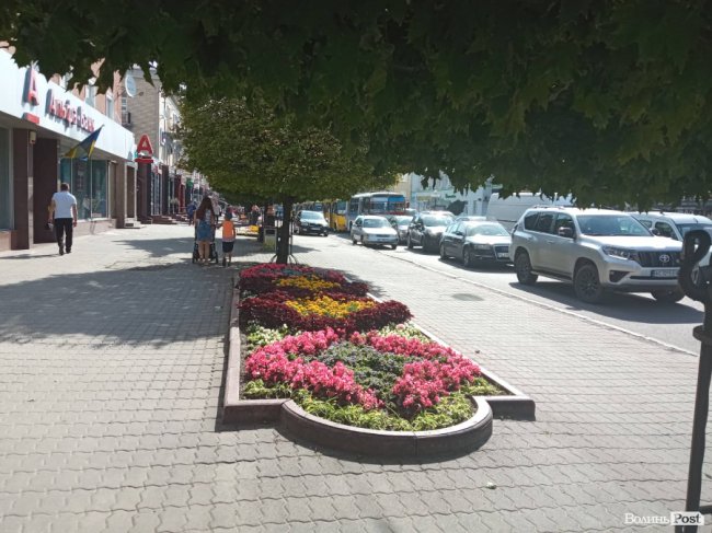 У центрі Луцька маршрутка збила чоловіка. ФОТО