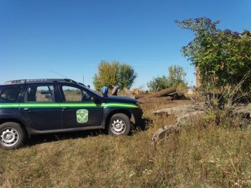 Волинські лісівники знайшли деревину, яку незаконно вирубали на Львівщині.ФОТО