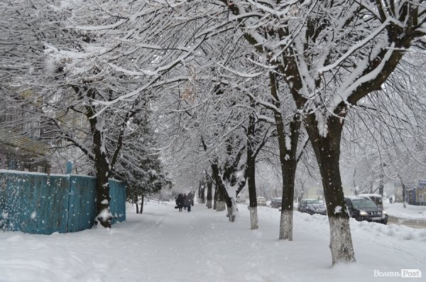 Снігопад у Луцьку. ФОТО