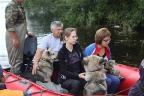 Повінь на Амурі. ФОТО. ВІДЕО