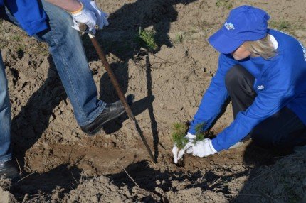 Турбота про довкілля ‒ не політика, ‒ Башкаленко
