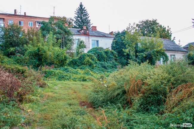 Бабине літо у Луцьку. ФОТО