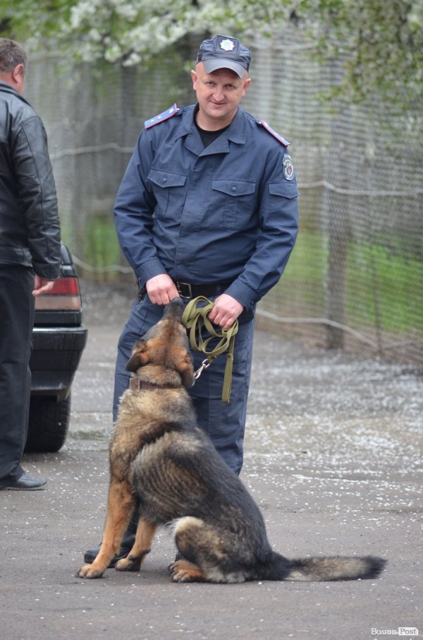 Як живуть та тренуються службові собаки. ФОТО
