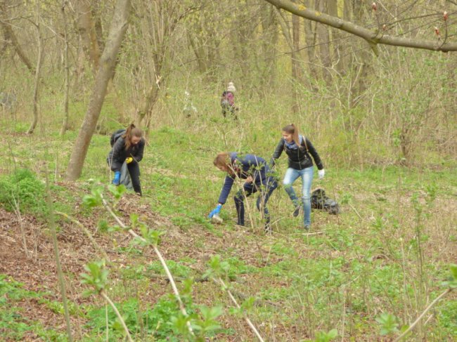 Півтисячі студентів та комунальників зібралися на передвеликодню толоку у Луцьку