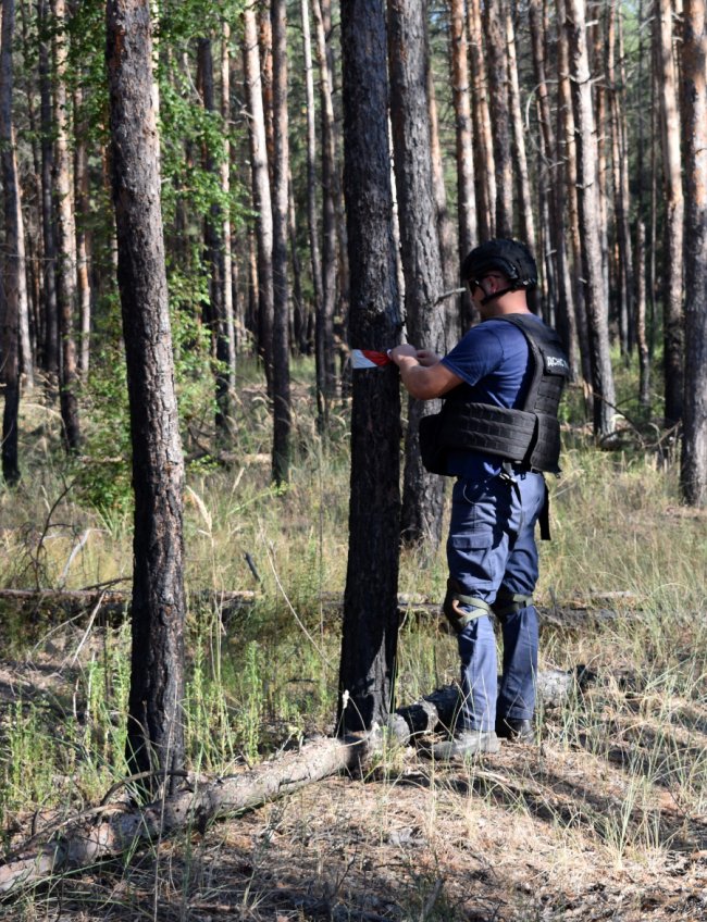 З ротації повернулися волинські сапери, які працювали на Донеччині