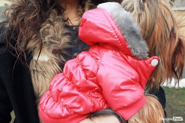 Стильний Луцьк. Портрет дня: Валерія Богач і Буся