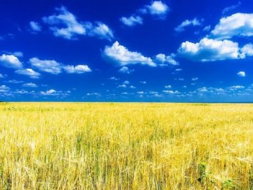 На Волині конфіскують землю у громадян росії