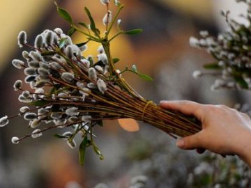 Нести додому вербу і нічого не планувати: що можна і не можна робити 21 березня