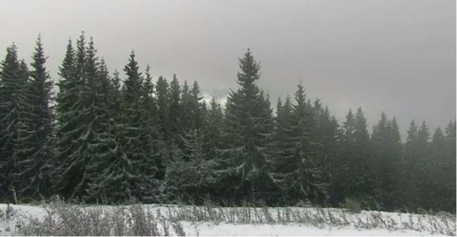 Карпати засипає снігом. ФОТО. ВІДЕО