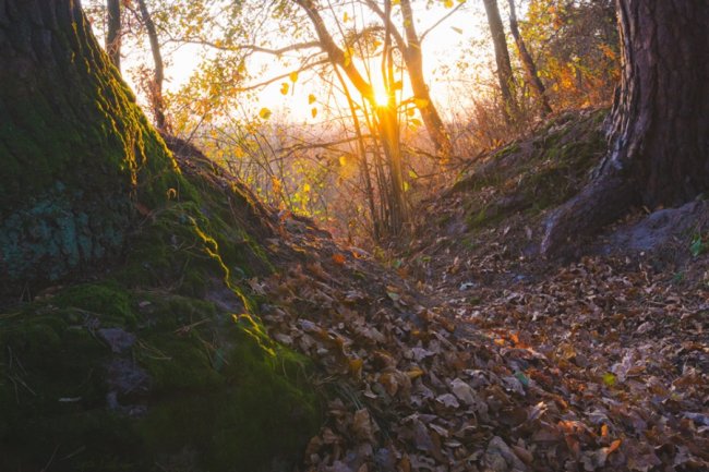 Останні дні жовтня: луцький фотограф поділився дивовижними світлинами. ФОТО