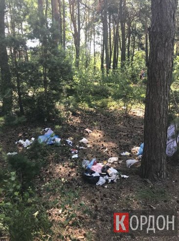 Поблизу волинського озера – засмічена прибережна територія. ФОТО