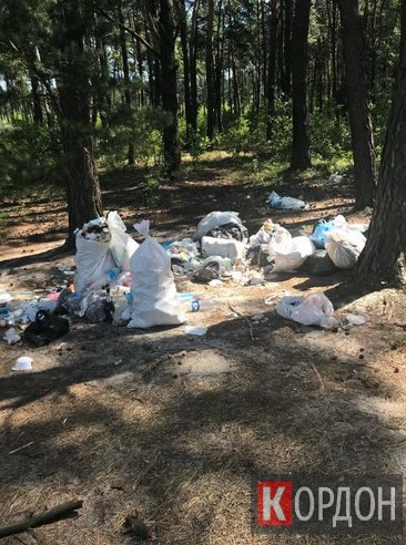 Поблизу волинського озера – засмічена прибережна територія. ФОТО