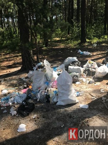 Поблизу волинського озера – засмічена прибережна територія. ФОТО