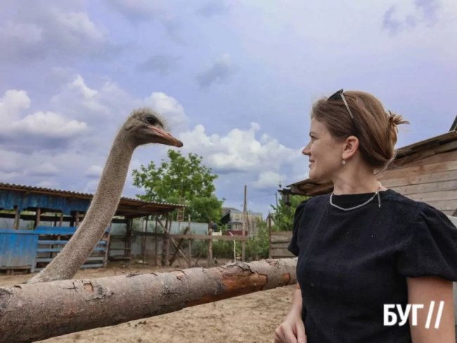 Колишній зварювальник з Волині вирощує страусів та павичів. ФОТО, ВІДЕО