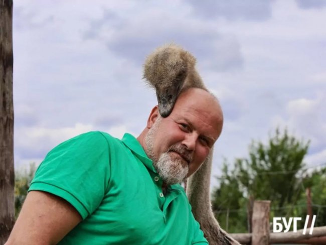 Колишній зварювальник з Волині вирощує страусів та павичів. ФОТО, ВІДЕО