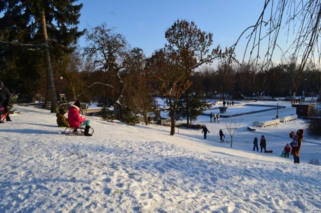 У Луцьку діти влаштували перегони на санчатах. ФОТО