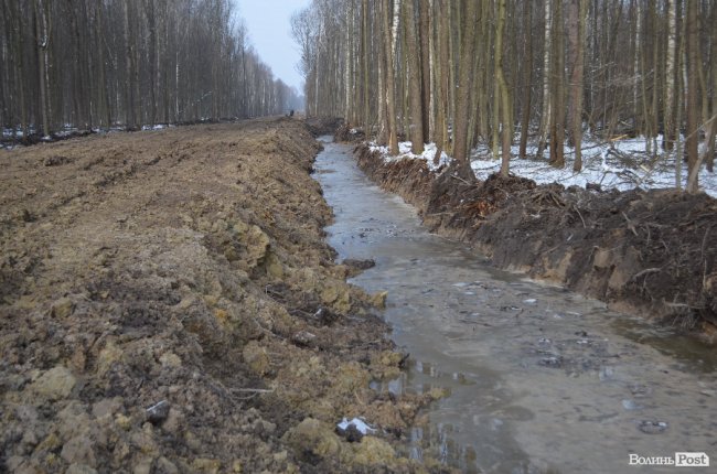 Лісівники показали, як підкорюють волинські джунглі. ФОТО