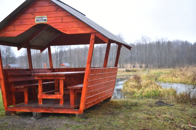 Облаштована рекреаційна зона у Бережницькому лісництві