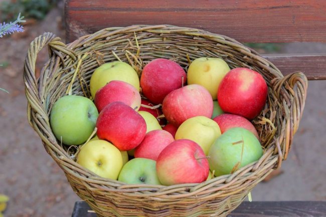 У Луцькому зоопарку відгуляли свято гарбуза: як це було. ФОТО
