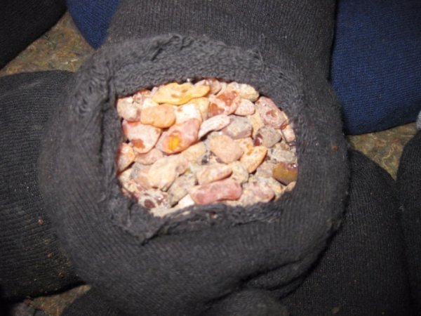 Львівські прикордонники затримали  партію бурштину на  Волині. ФОТО. ВІДЕО