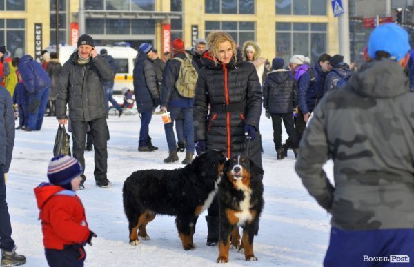 «Різдво у Луцьку»: камерний оркестр, «ФлайzZa» та 50 колективів